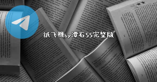 纸飞機by潭石55完整版