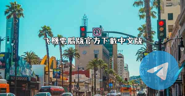 飞機電腦版官方下載中文版