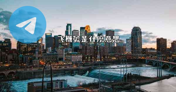 飞機號是什麼意思