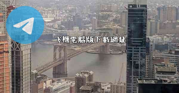 飞機電腦版下載網址