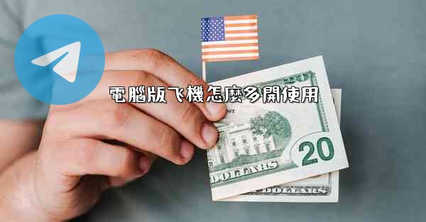 電腦版飞機怎麼多開使用