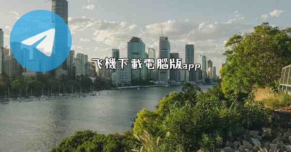 飞機下載電腦版app