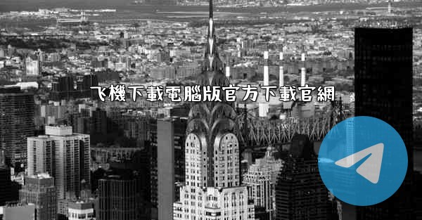 飞機下載電腦版官方下載官網