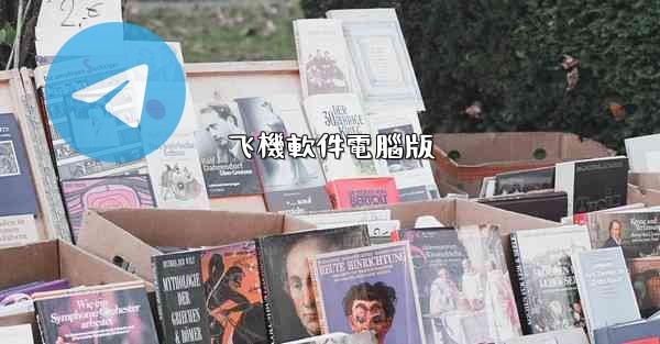 飞機軟件電腦版