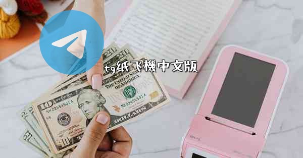 tg纸飞機中文版