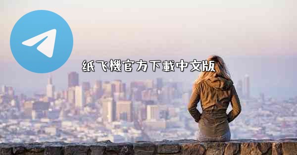 纸飞機官方下載中文版