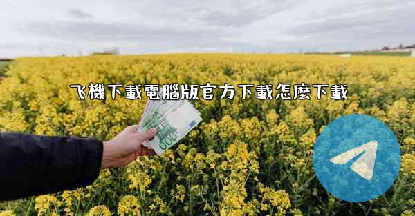 飞機下載電腦版官方下載怎麼下載