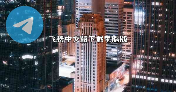 飞機中文版下載電腦版