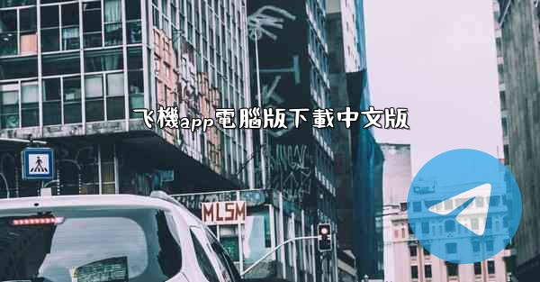 飞機app電腦版下載中文版
