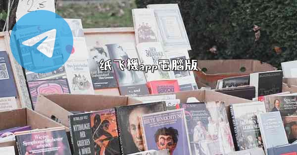 纸飞機app電腦版