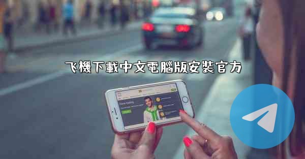 飞機下載中文電腦版安裝官方