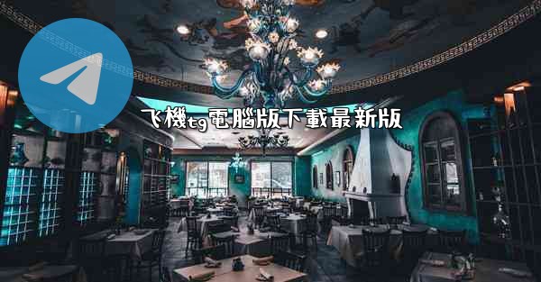 飞機tg電腦版下載最新版