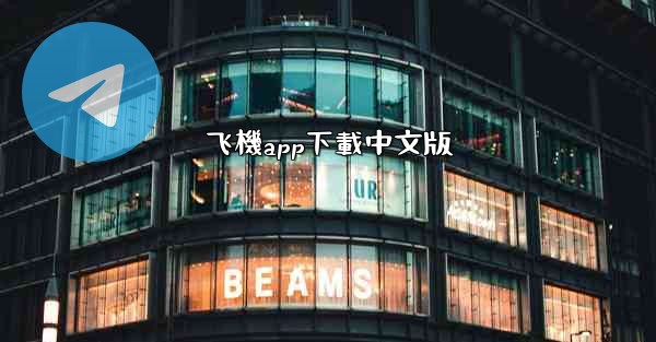 飞機app下載中文版