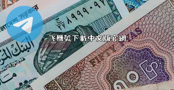 飞機號下載中文版官網