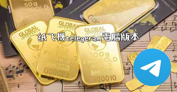 纸飞機telegeram電腦版本