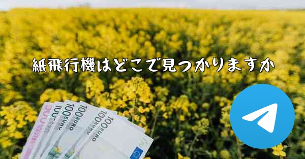 紙飛行機はどこで見つかりますか