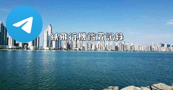 紙飛行機鑑賞記録