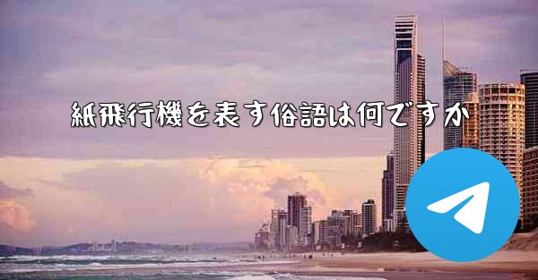 紙飛行機を表す俗語は何ですか