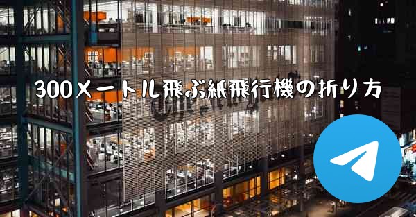 <b>300メートル飛ぶ紙飛行機の折り方</b>