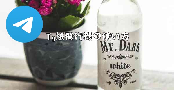 Tg紙飛行機の使い方