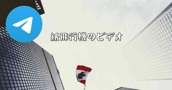 紙飛行機のビデオ
