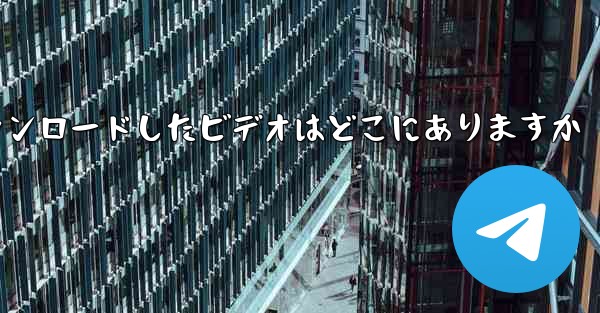 Little Plane がダウンロードしたビデオはどこにありますか