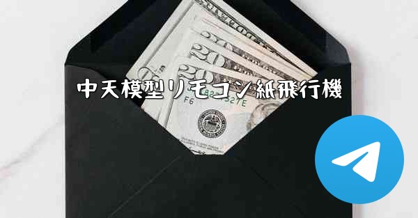 中天模型リモコン紙飛行機