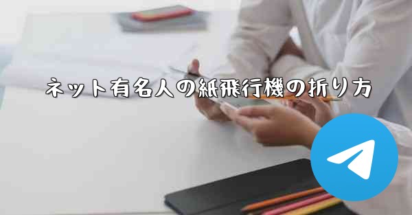 ネット有名人の紙飛行機の折り方