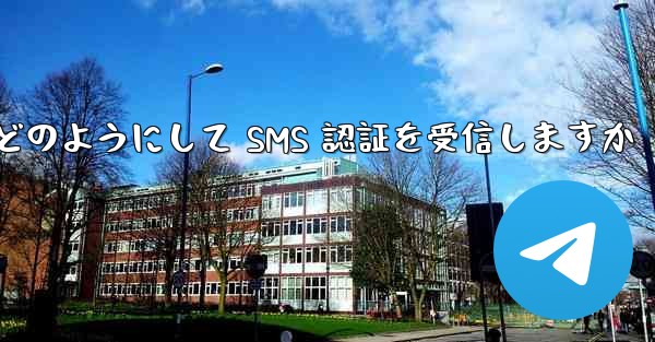 Paper Plane はどのようにして SMS 認証を受信しますか