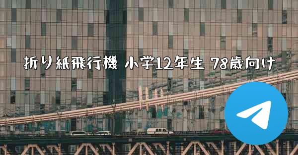 折り紙飛行機 小学12年生 78歳向け