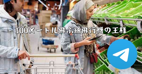 100メートル飛ぶ紙飛行機の王様