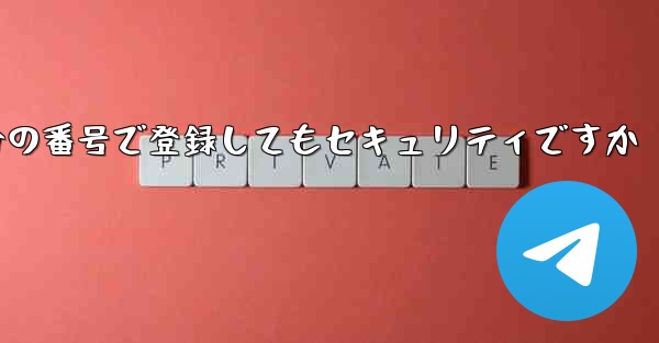 飛行機を自分の番号で登録してもセキュリティですか