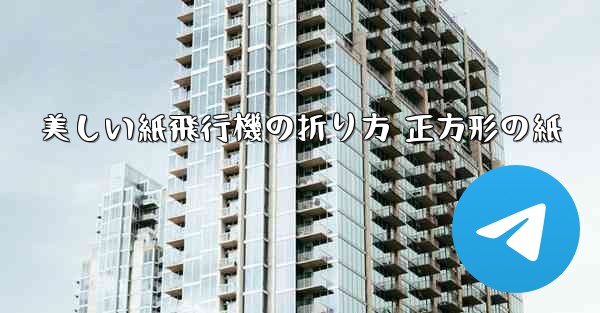美しい紙飛行機の折り方 正方形の紙
