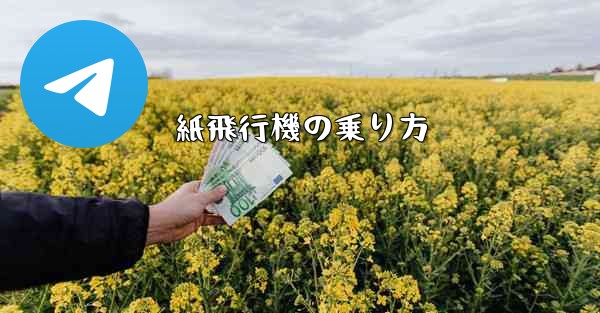 紙飛行機の乗り方