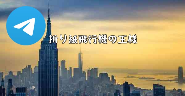 折り紙飛行機の王様