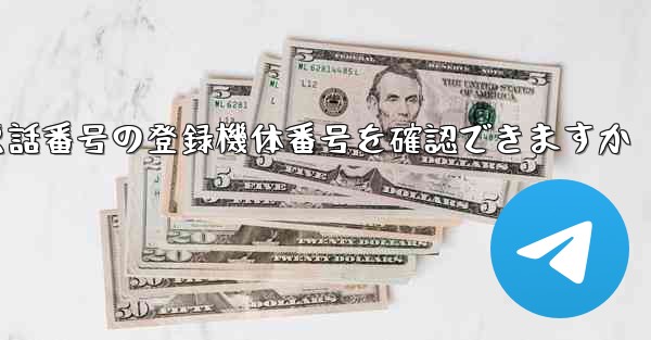 国内携帯電話番号の登録機体番号を確認できますか
