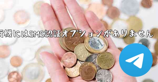 紙飛行機にはSMS認証オプションがありません