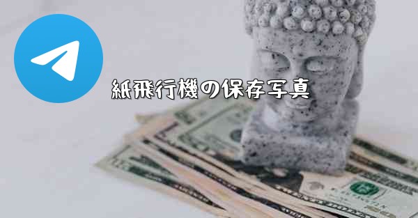 紙飛行機の保存写真