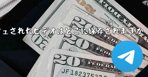 Paper Plane のキャッシュされたビデオはどこに保存されますか