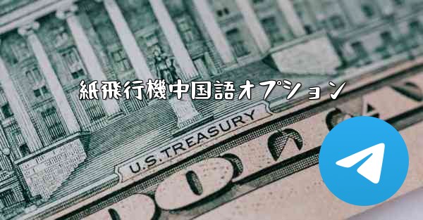 紙飛行機中国語オプション