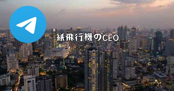紙飛行機のCEO