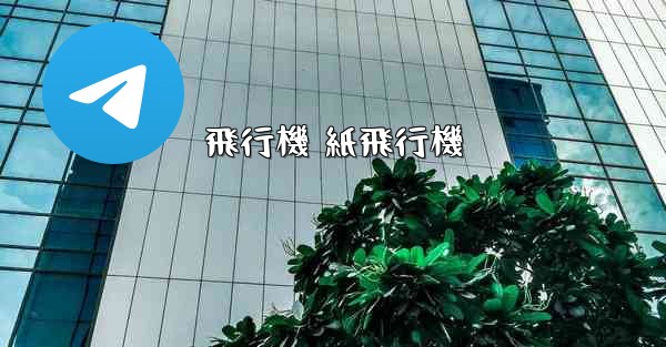 飛行機 紙飛行機