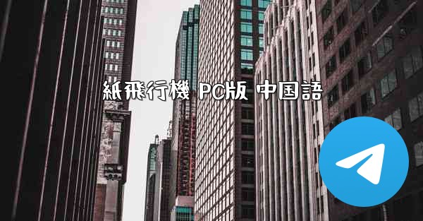 紙飛行機 PC版 中国語