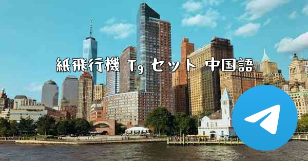 紙飛行機 Tg セット 中国語