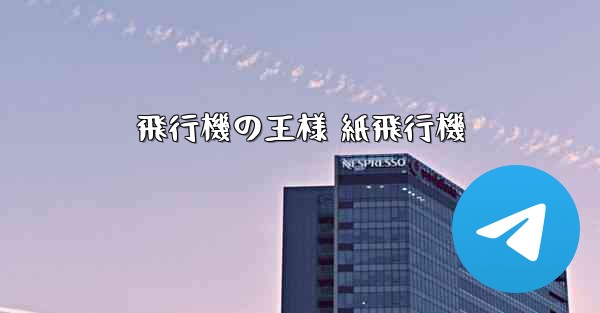 飛行機の王様 紙飛行機