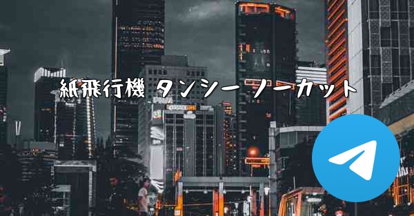紙飛行機 タンシー ノーカット
