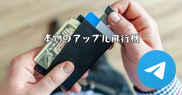 本物のアップル飛行機