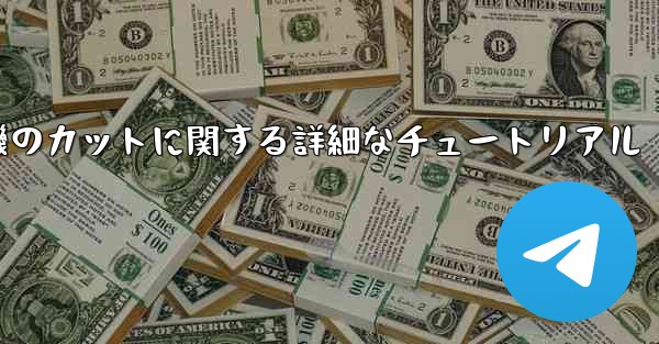 ティッシュペーパー飛行機のカットに関する詳細なチュートリアル