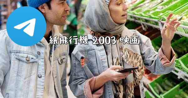 紙飛行機 2003 映画