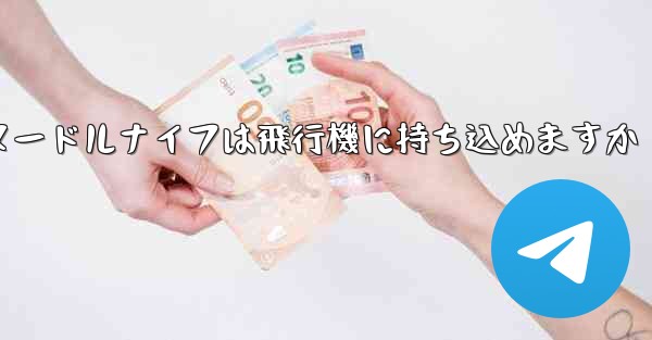 ヌードルナイフは飛行機に持ち込めますか